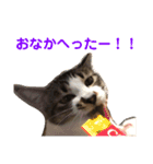 こっちゃんず（個別スタンプ：10）