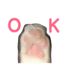 こっちゃんず（個別スタンプ：11）