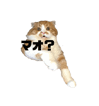 肉太朗くん（個別スタンプ：4）