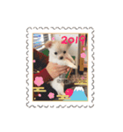 ちろさん☆スタンプ①（個別スタンプ：3）