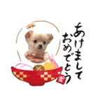 ちろさん☆スタンプ①（個別スタンプ：8）