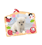 ちろさん☆スタンプ①（個別スタンプ：13）