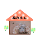 日常ハムスター（個別スタンプ：10）