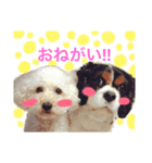 ティムベル（個別スタンプ：2）