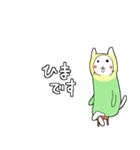 インコネコといっしょ（個別スタンプ：19）