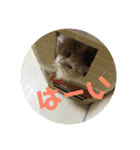 チョッパーと仲間たち（個別スタンプ：1）