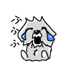 リリーちゃん doggie（個別スタンプ：6）