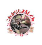 隼都friends（個別スタンプ：3）