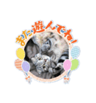 隼都friends（個別スタンプ：4）
