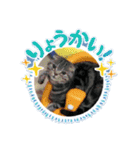 隼都friends（個別スタンプ：9）