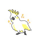 鳥まみれスタンプ（個別スタンプ：1）