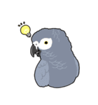 鳥まみれスタンプ（個別スタンプ：5）