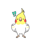 鳥まみれスタンプ（個別スタンプ：6）