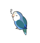 鳥まみれスタンプ（個別スタンプ：9）