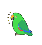 鳥まみれスタンプ（個別スタンプ：15）
