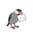 鳥まみれスタンプ（個別スタンプ：17）