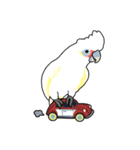 鳥まみれスタンプ（個別スタンプ：25）