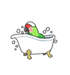 鳥まみれスタンプ（個別スタンプ：30）
