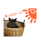 わが家のさびしちちゃんスタンプ❶（個別スタンプ：2）