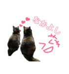 わが家のさびしちちゃんスタンプ❶（個別スタンプ：4）