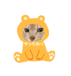 ちぃちゃん【猫】の日常 2（個別スタンプ：8）