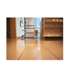 かわいい犬面白いコメント2（個別スタンプ：7）