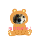 ちょこたんスタンプ①（個別スタンプ：8）