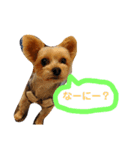 crrrrrrover（個別スタンプ：4）