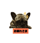 ペグッチ（個別スタンプ：1）
