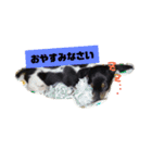 ペグッチ（個別スタンプ：6）