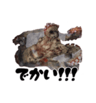 タコ 釣り2（個別スタンプ：11）