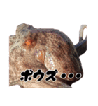 タコ 釣り2（個別スタンプ：14）
