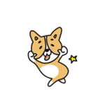 コーギーのポピーちゃん（個別スタンプ：1）