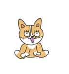 コーギーのポピーちゃん（個別スタンプ：5）