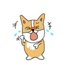 コーギーのポピーちゃん（個別スタンプ：8）