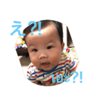 ぜんちゃん(แมมมอธ)（個別スタンプ：17）