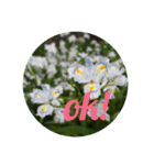 言葉と花（個別スタンプ：3）