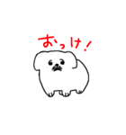 ふわふわのペキニーズ（個別スタンプ：1）