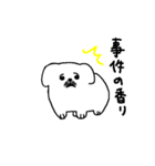 ふわふわのペキニーズ（個別スタンプ：8）