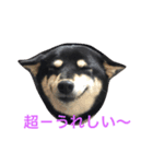 クマとさくら（個別スタンプ：1）