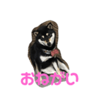 クマとさくら（個別スタンプ：8）