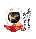 トロスタイル（個別スタンプ：5）