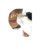 トロスタイル（個別スタンプ：6）