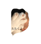 トロスタイル（個別スタンプ：12）