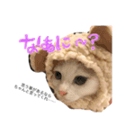 ぴよスタ。完全版（個別スタンプ：10）
