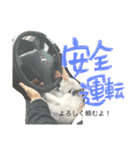 ぴよスタ。完全版（個別スタンプ：14）