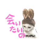 ぴよスタ。完全版（個別スタンプ：18）