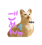 ぴよスタ。完全版（個別スタンプ：22）