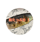 たべものコレクション（個別スタンプ：8）