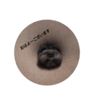 mojaとmiso02（個別スタンプ：1）
